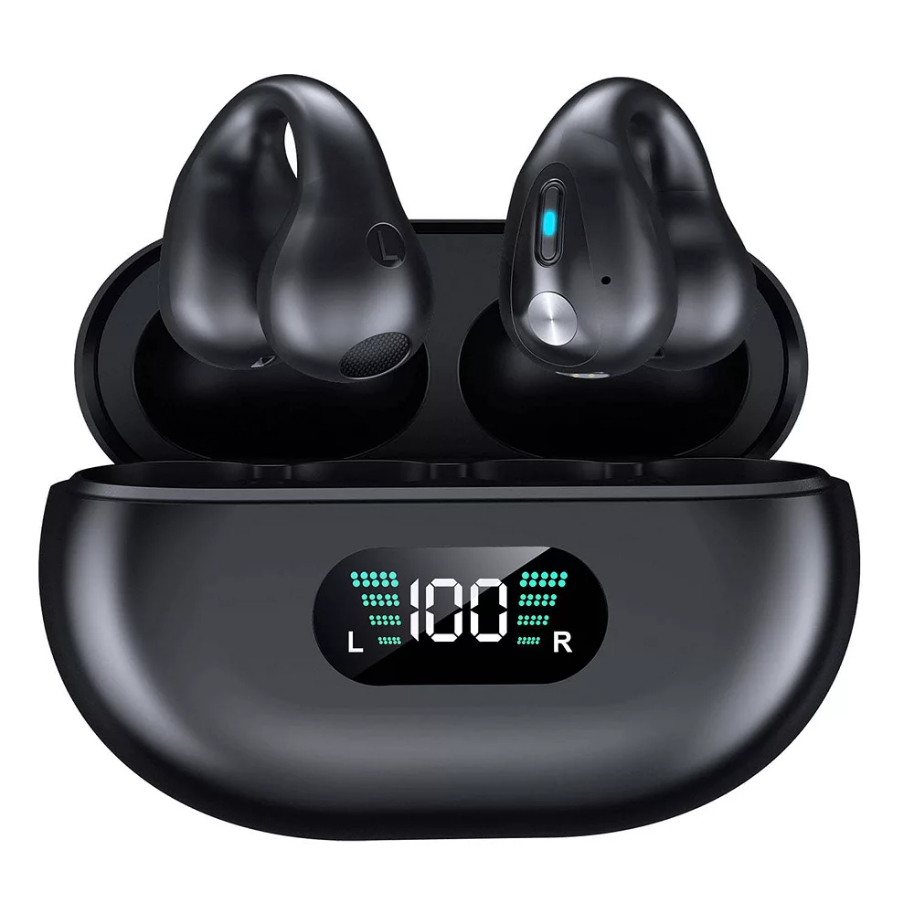 RS 76 Ear Buds